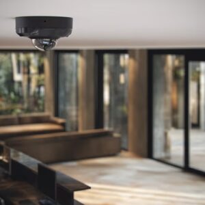 DomeCam Mini HL (8 Mp/4 mm